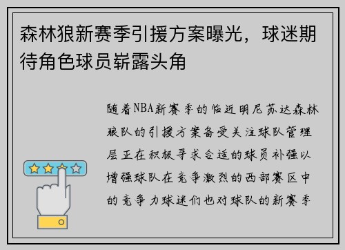 森林狼新赛季引援方案曝光，球迷期待角色球员崭露头角